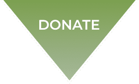 Donate